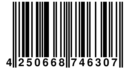 4 250668 746307