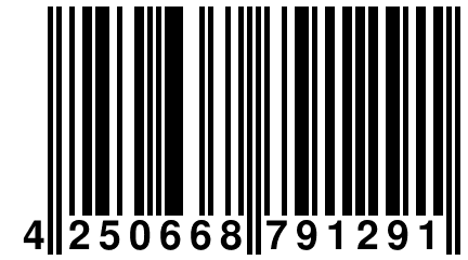 4 250668 791291