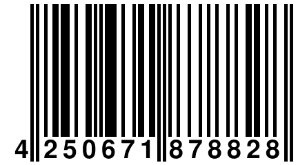 4 250671 878828