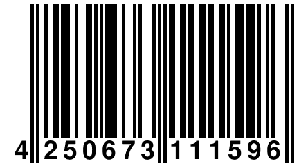 4 250673 111596