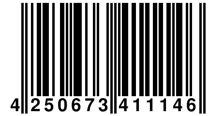 4 250673 411146