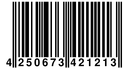 4 250673 421213