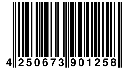 4 250673 901258