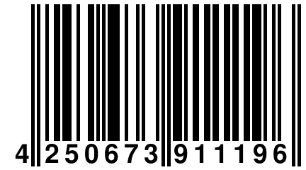 4 250673 911196