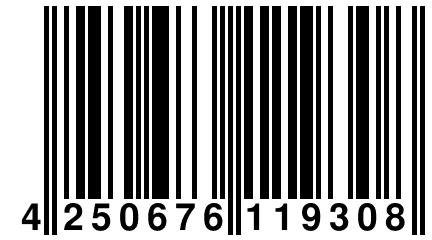 4 250676 119308