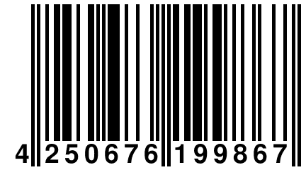 4 250676 199867