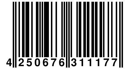 4 250676 311177