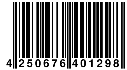 4 250676 401298