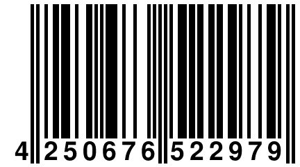 4 250676 522979