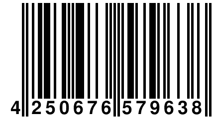 4 250676 579638