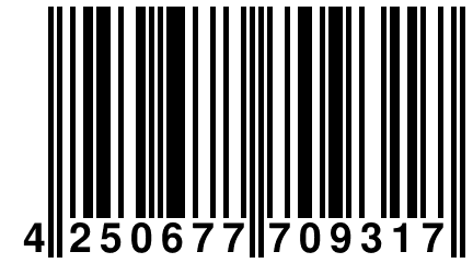 4 250677 709317