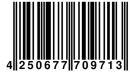 4 250677 709713