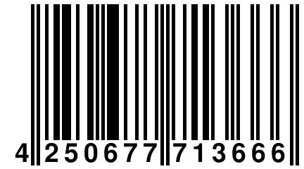 4 250677 713666