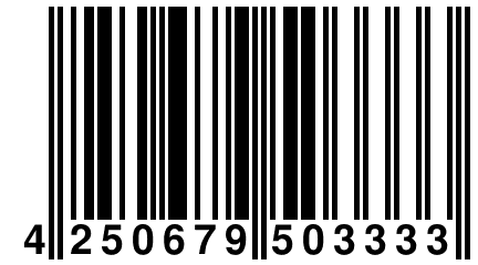 4 250679 503333