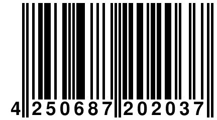 4 250687 202037