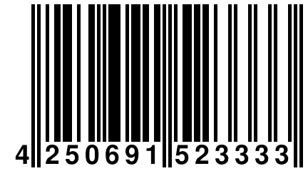 4 250691 523333