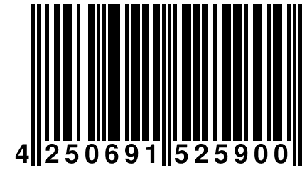 4 250691 525900