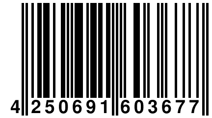 4 250691 603677