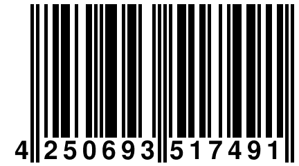 4 250693 517491