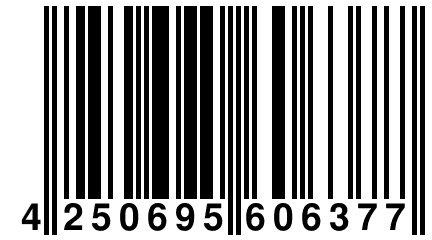 4 250695 606377