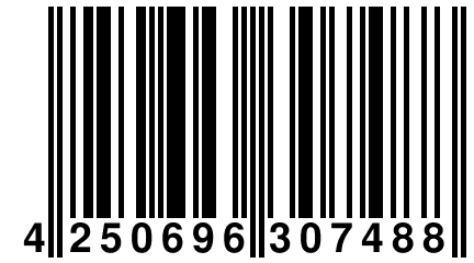 4 250696 307488