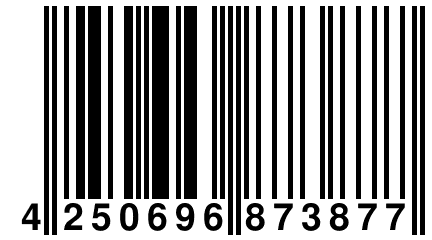 4 250696 873877