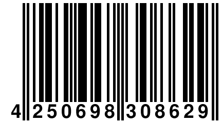 4 250698 308629