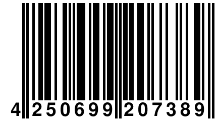 4 250699 207389