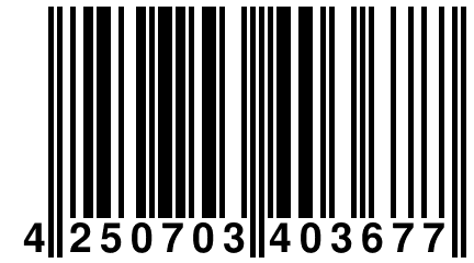 4 250703 403677