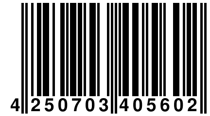 4 250703 405602