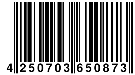 4 250703 650873