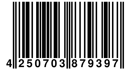 4 250703 879397