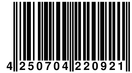 4 250704 220921