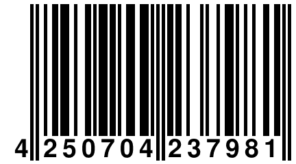 4 250704 237981