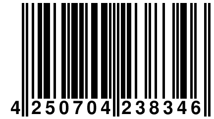 4 250704 238346