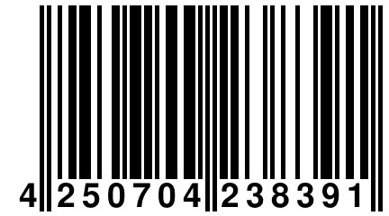 4 250704 238391