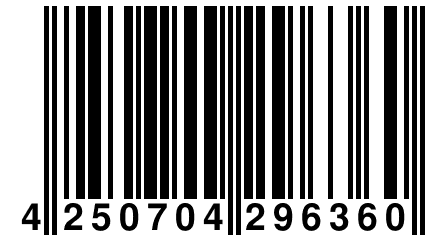 4 250704 296360