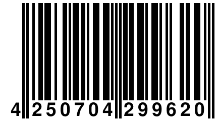 4 250704 299620