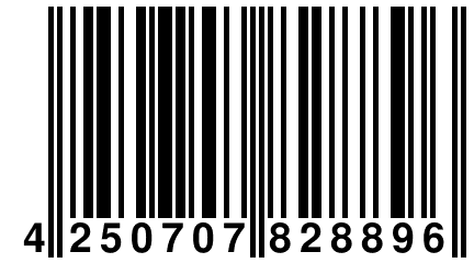 4 250707 828896