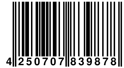 4 250707 839878