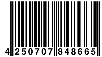 4 250707 848665