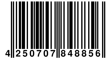 4 250707 848856