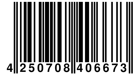 4 250708 406673