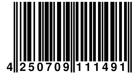 4 250709 111491