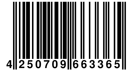 4 250709 663365