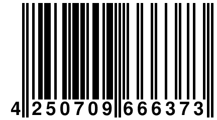 4 250709 666373