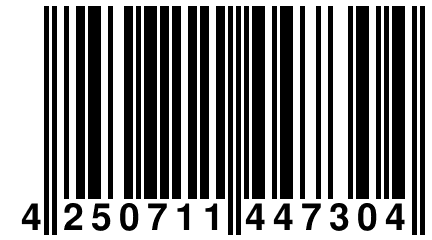 4 250711 447304