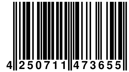 4 250711 473655