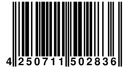 4 250711 502836