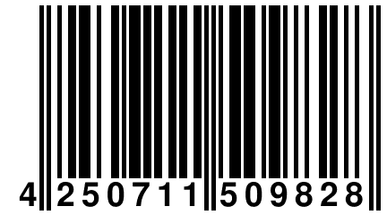 4 250711 509828